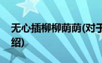 无心插柳柳荫荫(对于无心插柳柳荫荫简单介绍)
