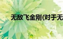 无敌飞金刚(对于无敌飞金刚简单介绍)