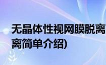 无晶体性视网膜脱离(对于无晶体性视网膜脱离简单介绍)