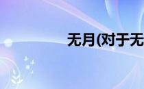 无月(对于无月简单介绍)