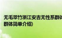 无毛翠竹浙江安吉无性系群体(对于无毛翠竹浙江安吉无性系群体简单介绍)