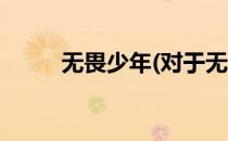 无畏少年(对于无畏少年简单介绍)