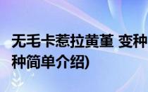 无毛卡惹拉黄堇 变种(对于无毛卡惹拉黄堇 变种简单介绍)