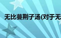无比蔓荆子汤(对于无比蔓荆子汤简单介绍)