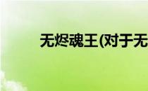 无烬魂王(对于无烬魂王简单介绍)