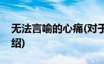 无法言喻的心痛(对于无法言喻的心痛简单介绍)