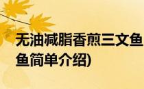 无油减脂香煎三文鱼(对于无油减脂香煎三文鱼简单介绍)