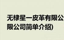 无棣星一皮革有限公司(对于无棣星一皮革有限公司简单介绍)