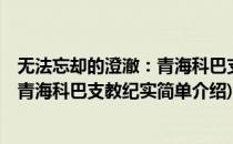 无法忘却的澄澈：青海科巴支教纪实(对于无法忘却的澄澈：青海科巴支教纪实简单介绍)