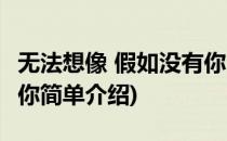 无法想像 假如没有你(对于无法想像 假如没有你简单介绍)
