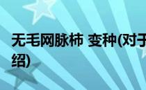 无毛网脉柿 变种(对于无毛网脉柿 变种简单介绍)