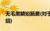 无毛黑鳞短肠蕨(对于无毛黑鳞短肠蕨简单介绍)