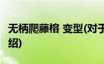 无柄爬藤榕 变型(对于无柄爬藤榕 变型简单介绍)