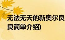 无法无天的新奥尔良(对于无法无天的新奥尔良简单介绍)