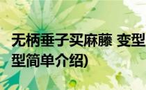 无柄垂子买麻藤 变型(对于无柄垂子买麻藤 变型简单介绍)