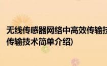 无线传感器网络中高效传输技术(对于无线传感器网络中高效传输技术简单介绍)