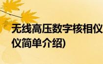 无线高压数字核相仪(对于无线高压数字核相仪简单介绍)