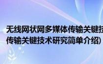 无线网状网多媒体传输关键技术研究(对于无线网状网多媒体传输关键技术研究简单介绍)