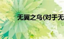 无翼之鸟(对于无翼之鸟简单介绍)