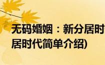 无码婚姻：新分居时代(对于无码婚姻：新分居时代简单介绍)