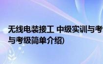 无线电装接工 中级实训与考级(对于无线电装接工 中级实训与考级简单介绍)