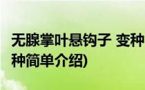 无腺掌叶悬钩子 变种(对于无腺掌叶悬钩子 变种简单介绍)