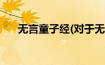 无言童子经(对于无言童子经简单介绍)