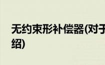 无约束形补偿器(对于无约束形补偿器简单介绍)