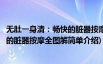 无肚一身清：畅快的脏器按摩全图解(对于无肚一身清：畅快的脏器按摩全图解简单介绍)