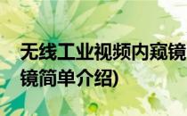 无线工业视频内窥镜(对于无线工业视频内窥镜简单介绍)