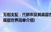 无相支配：代耕农及其底层世界(对于无相支配：代耕农及其底层世界简单介绍)