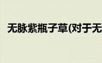 无脉紫瓶子草(对于无脉紫瓶子草简单介绍)