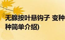 无腺按叶悬钩子 变种(对于无腺按叶悬钩子 变种简单介绍)