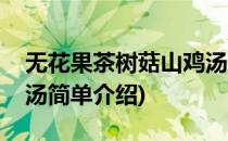 无花果茶树菇山鸡汤(对于无花果茶树菇山鸡汤简单介绍)