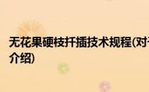 无花果硬枝扦插技术规程(对于无花果硬枝扦插技术规程简单介绍)