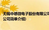 无锡中感微电子股份有限公司(对于无锡中感微电子股份有限公司简单介绍)