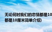 无论何时我们的恋情都是10厘米(对于无论何时我们的恋情都是10厘米简单介绍)
