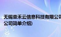 无锡壹禾云信息科技有限公司(对于无锡壹禾云信息科技有限公司简单介绍)