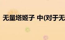 无量塔姬子 中(对于无量塔姬子 中简单介绍)
