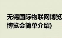 无锡国际物联网博览会(对于无锡国际物联网博览会简单介绍)