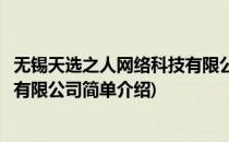 无锡天选之人网络科技有限公司(对于无锡天选之人网络科技有限公司简单介绍)