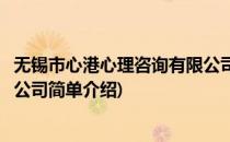 无锡市心港心理咨询有限公司(对于无锡市心港心理咨询有限公司简单介绍)