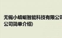 无锡小蜻蜓智能科技有限公司(对于无锡小蜻蜓智能科技有限公司简单介绍)