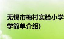 无锡市梅村实验小学(对于无锡市梅村实验小学简单介绍)