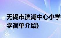 无锡市滨湖中心小学(对于无锡市滨湖中心小学简单介绍)
