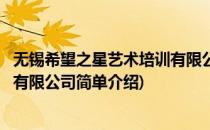 无锡希望之星艺术培训有限公司(对于无锡希望之星艺术培训有限公司简单介绍)