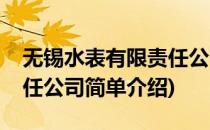 无锡水表有限责任公司(对于无锡水表有限责任公司简单介绍)