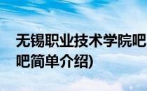 无锡职业技术学院吧(对于无锡职业技术学院吧简单介绍)
