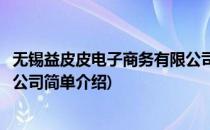 无锡益皮皮电子商务有限公司(对于无锡益皮皮电子商务有限公司简单介绍)
