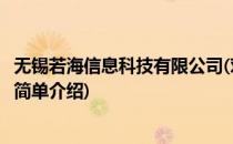无锡若海信息科技有限公司(对于无锡若海信息科技有限公司简单介绍)